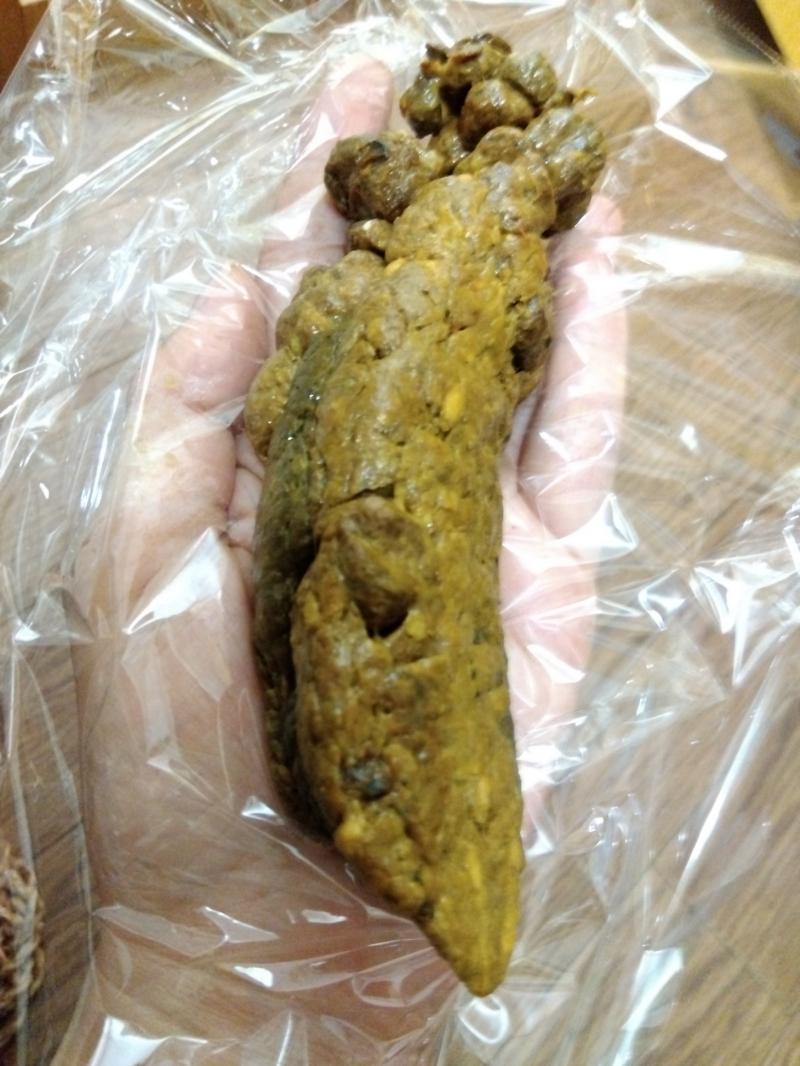 出品者名-写真-1